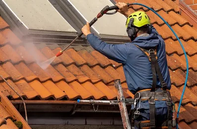 Démoussage et hydrofuge de toiture à Louignac